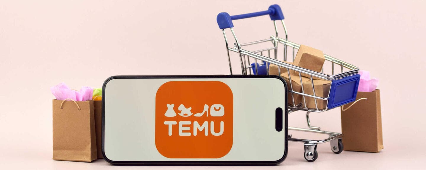 Einführung in die Funktionsweise der Temu-Versandkosten